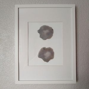 Agate Slices Natural Wall Art